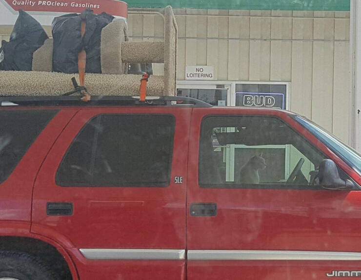 “Saw this cat fueling up off of the interstate. They’ve got the essentials, and are not looking back.”