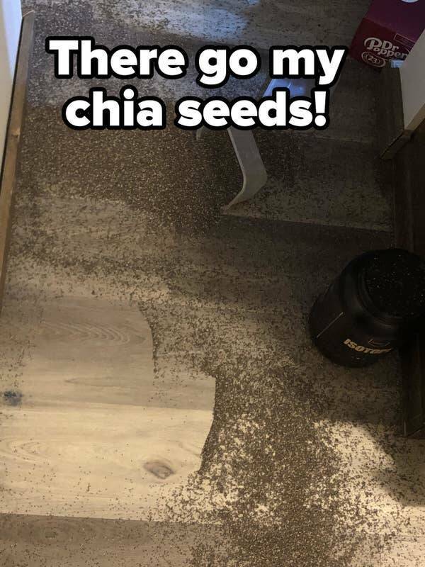 people having a bad day -  floor - There go my chia seeds! Popper 23