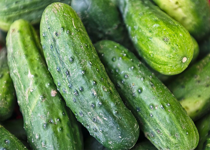 Pickles are brined cucumbers. Only found out a few years ago. I'm about to turn 42.