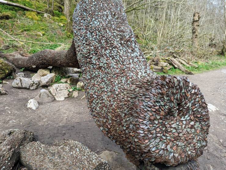 "This tree that visitors pound coins into for good luck."