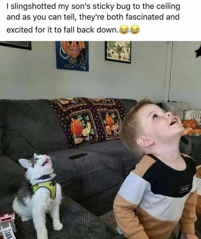 wholesome pics and memes - iFunny - I slingshotted my son's sticky bug to the ceiling and as you can tell, they're both fascinated and excited for it to fall back down. P