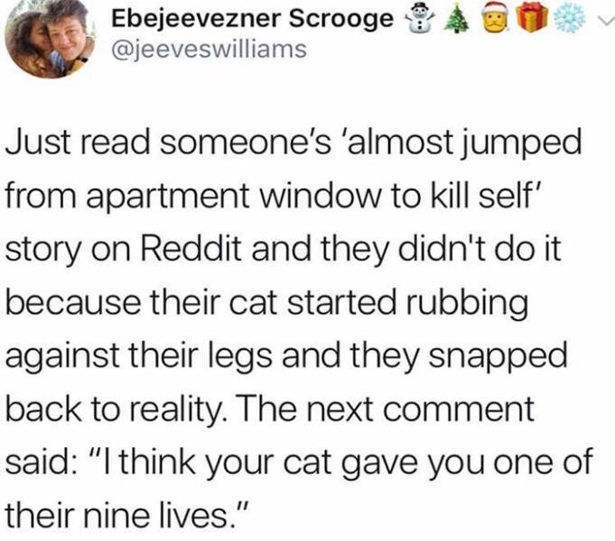 wholesome pics and memes - document - Ebejeevezner Scrooge Just read someone's 'almost jumped from apartment window to kill self' story on Reddit and they didn't do it because their cat started rubbing against their legs and they snapped back to reality. 