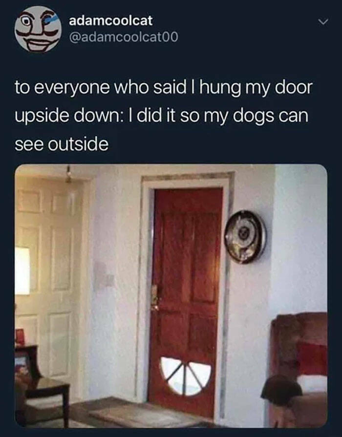 wholesome pics and memes - door hung upside down for dogs - adamcoolcat to everyone who said I hung my door upside down I did it so my dogs can see outside