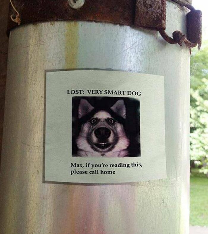 30 Funny And Stupid Signs.