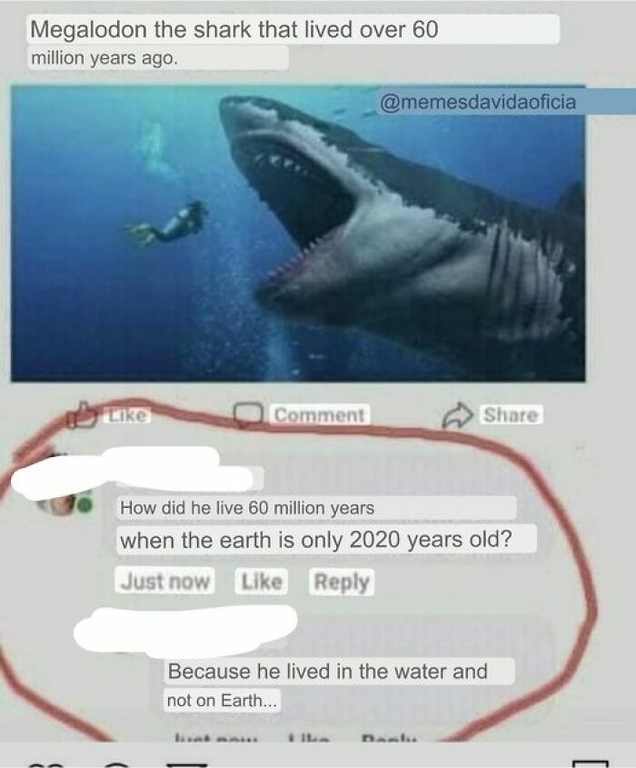 confidently incorrect - marine mammal - Megalodon the shark that lived over 60 million years ago. C Comment How did he live 60 million years when the earth is only 2020 years old? Just now Because he lived in the water and not on Earth... Dashu