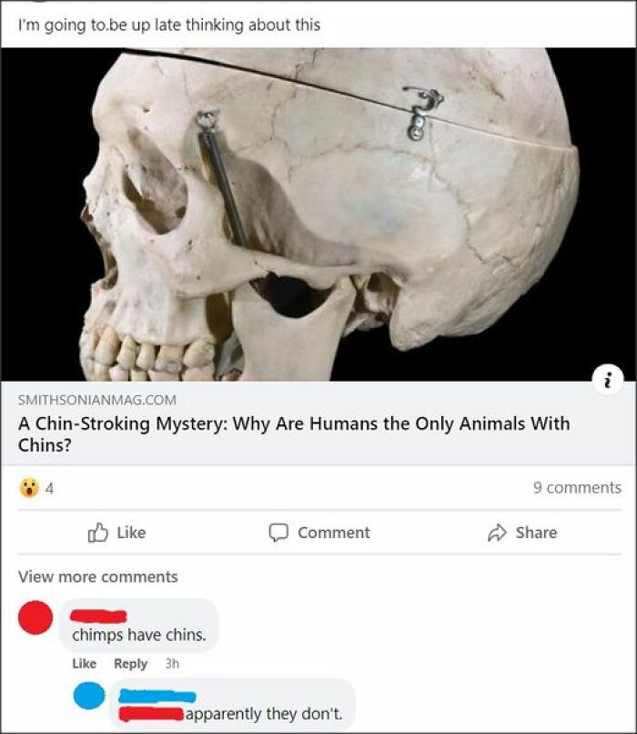 confidently incorrect - humans the only animals with chins - I'm going to be up late thinking about this Smithsonianmag.Com A ChinStroking Mystery Why Are Humans the Only Animals With Chins? View more chimps have chins. 3h Comment apparently they don't. '