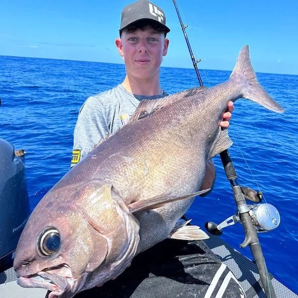 38 Giant Things You Won't Believe.