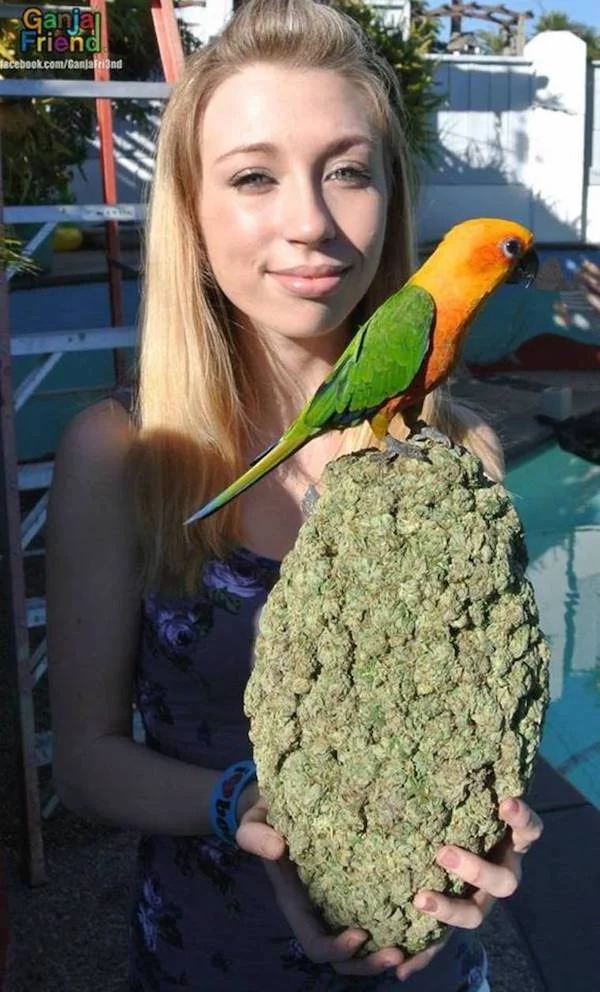 38 Giant Things You Won't Believe.