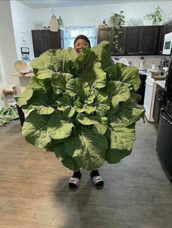 38 Giant Things You Won't Believe.