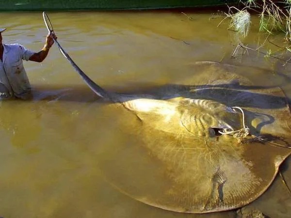 38 Giant Things You Won't Believe.