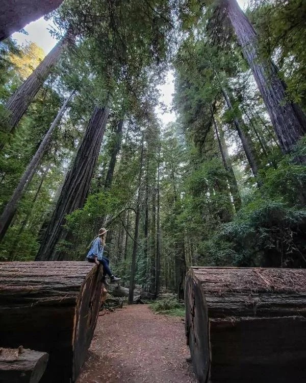 38 Giant Things You Won't Believe.