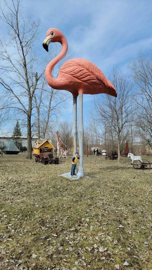 38 Giant Things You Won't Believe.