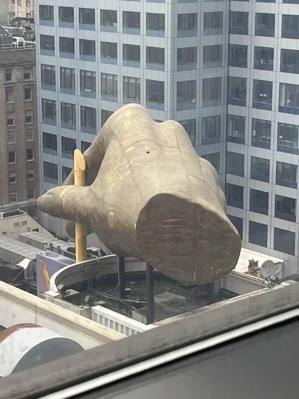 38 Giant Things You Won't Believe.