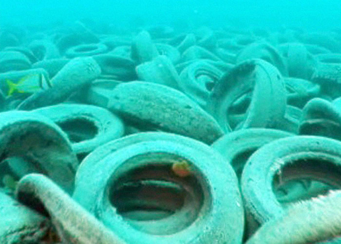 in the 1970s American authorities along a nonprofit group founded by fishermen, threw around 2 million old tires into the coast of Ft. Lauderdale to create an artificial reef which would help the growth of new coral. Instead they created an ecological disaster.