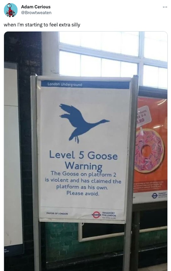 funny tweets - level 5 rat warning - Adam Cerious when I'm starting to feel extra silly London Underground Level 5 Goose Warning The Goose on platform 2 is violent and has claimed the platform as his own. Please avoid. Mayor Of London Transport For London