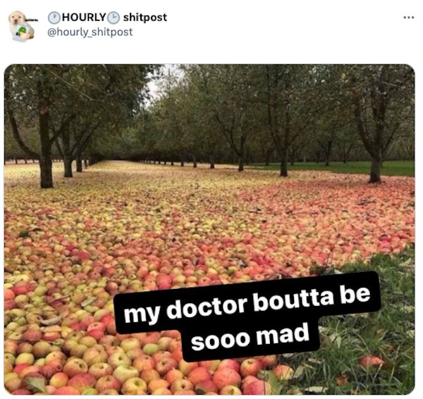 funny tweets - facebook memes - Hourly shitpost my doctor boutta be sooo mad www