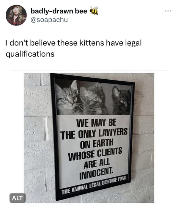 funny tweets - presentation - badlydrawn bee I don't believe these kittens have legal qualifications Alt We May Be The Only Lawyers On Earth Whose Clients Are All Innocent. The Animal Legal Defense Fund