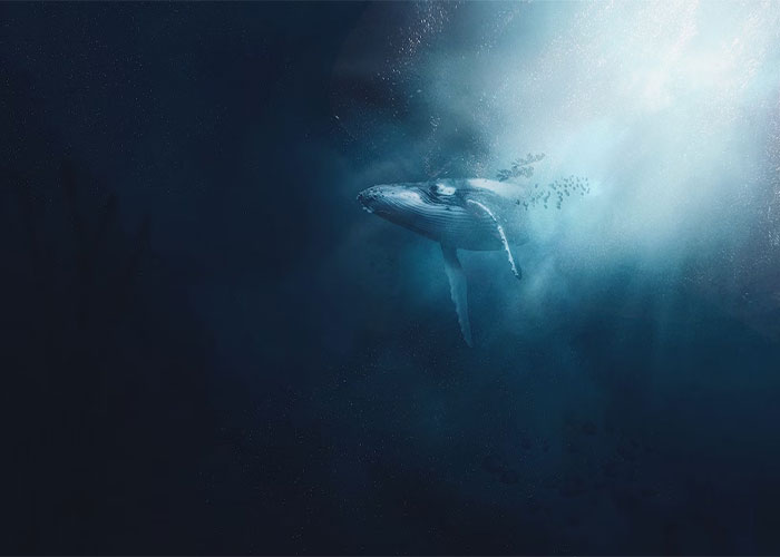 disturbing facts - underwater