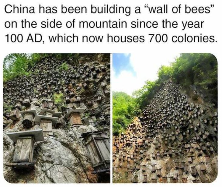 bizarre things that exist - archaeological site - China has been building a