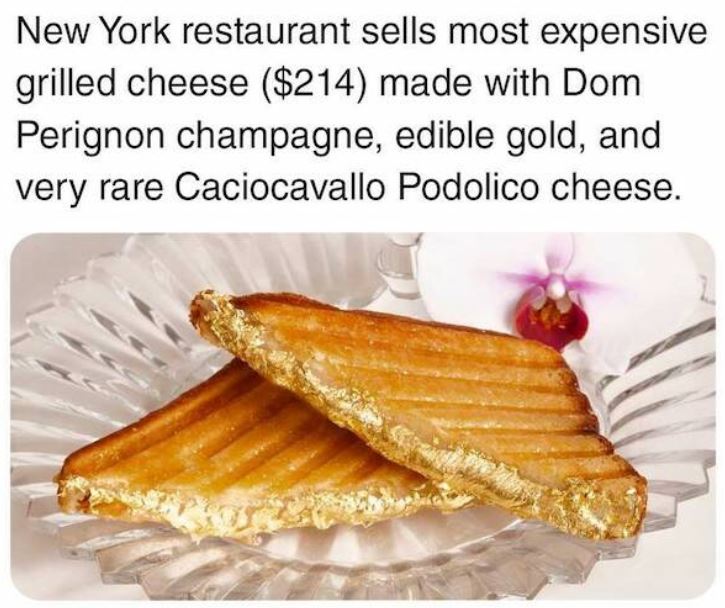 bizarre things that exist - world most expensive sandwich - New York restaurant sells most expensive grilled cheese $214 made with Dom Perignon champagne, edible gold, and very rare Caciocavallo Podolico cheese.