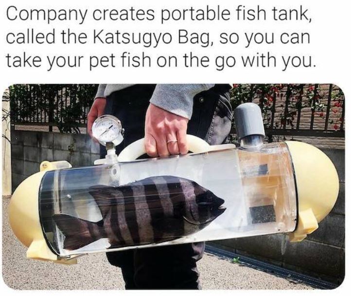 bizarre things that exist - portable fish tank - Company creates portable fish tank, called the Katsugyo Bag, so you can take your pet fish on the go with you.