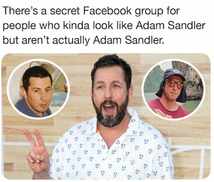bizarre things that exist - adam sandler - There's a secret Facebook group for people who kinda look Adam Sandler but aren't actually Adam Sandler. 41