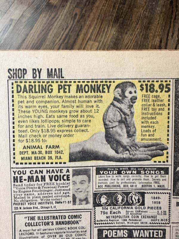 cool pics  - vintage monkey ad comic book - Shop By Mail Darling Pet Monkey This Squirrel Monkey makes an adorable pet and companion. Almost human with its warm eyes, your family will love it. These Young monkeys grow about 12 inches high. Eats same food 