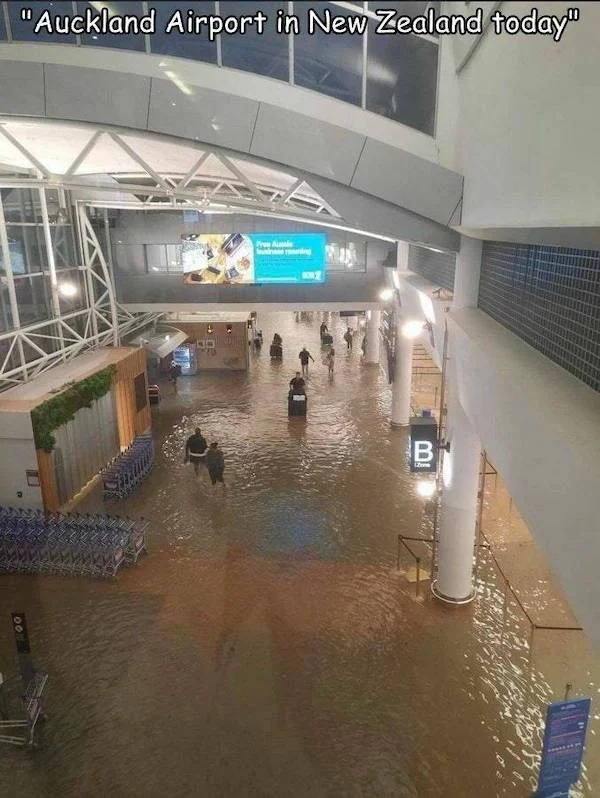people having a bad day -  auckland airport flooding now - "Auckland Airport in New Zealand today" Pro Au in t B 100