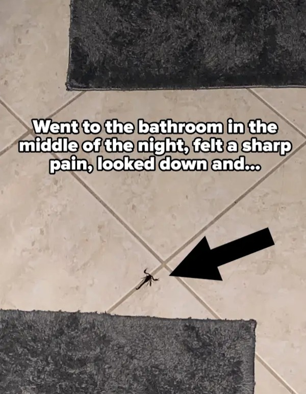 people having a bad day -  schroeder mansion. house of arts - Went to the bathroom in the middle of the night, felt a sharp pain, looked down and...
