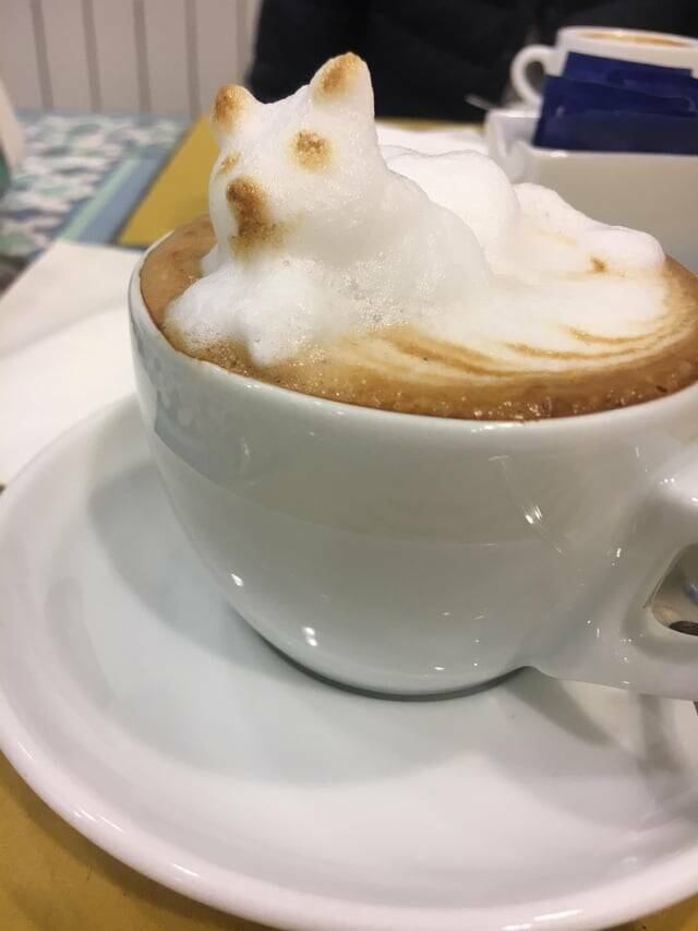 fascinating photos of unique things - cappuccino