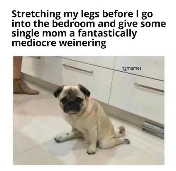 spicy memes and pics - pug - Stretching my legs before I go into the bedroom and give some single mom a fantastically mediocre weinering ngmemes