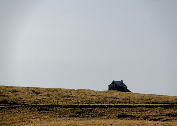 My ex and I lived in a remote part of Northern Nevada. The house was literally in the middle of a field and our neighbors were far away. He worked nights and I never liked how dark and quiet it was.

On a night he was working, I fell asleep and had a dream about him. In the dream, he was standing on the edge of a cliff (like the Grand Canyon), looking out at the view. I tried many times to get his attention but he wouldn't acknowledge me. He was just staring straight ahead.

After ignoring me for a while, he abruptly turned to me and grabbed the outside of my arms firmly. His face looked panicked and he said, "(name), there's somebody in the house."

Like the movies, my eyes shot open and I woke up with my blood running cold. I lay in bed silently, listening for any sound. I was even *more* terrified when the dog woke up almost immediately, started barking, and ran out his dog door, into the yard. What did he hear?

I never saw or heard anything out of place. I couldn't see anything outside in the dark. The dog came back in and fell asleep. I stayed up the rest of the night, totally creeped out.