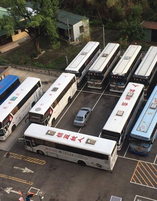 Terrible Parker Receives Sweet Sweet Karma Via A Herd Of Busses