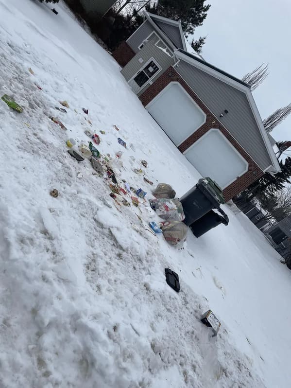 crappy neighbors - snow