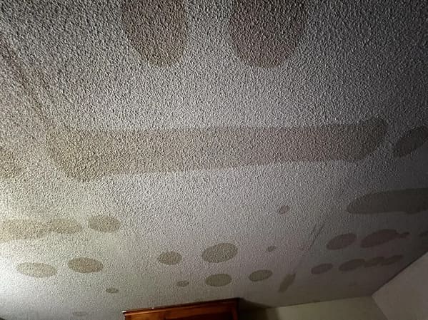 crappy neighbors - ceiling