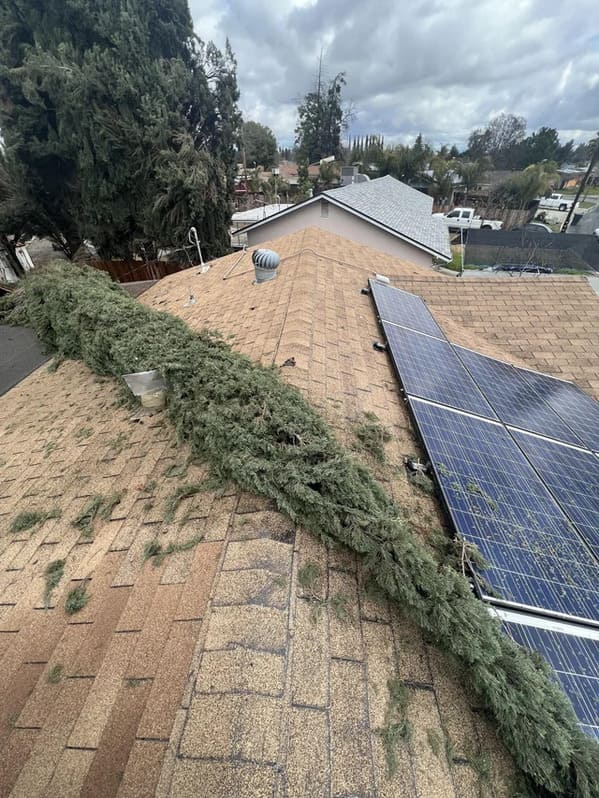 crappy neighbors - roof
