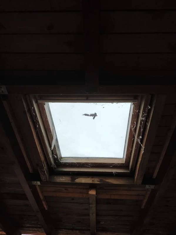 crappy neighbors - ceiling