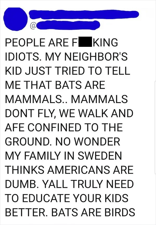 dumb posts - reddit bats are birds - @ People Are F King Idiots. My Neighbor'S Kid Just Tried To Tell Me That Bats Are Mammals.. Mammals Dont Fly, We Walk And Afe Confined To The Ground. No Wonder My Family In Sweden Thinks Americans Are Dumb. Yall Truly 
