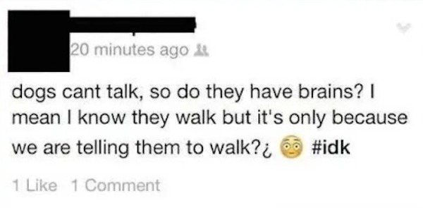 dumb posts - Dog - 20 minutes ago dogs cant talk, so do they have brains? I mean I know they walk but it's only because we are telling them to walk? 1 1 Comment