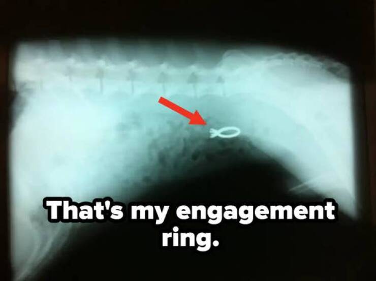 buyers remorse --  Engagement ring - That's my engagement ring.