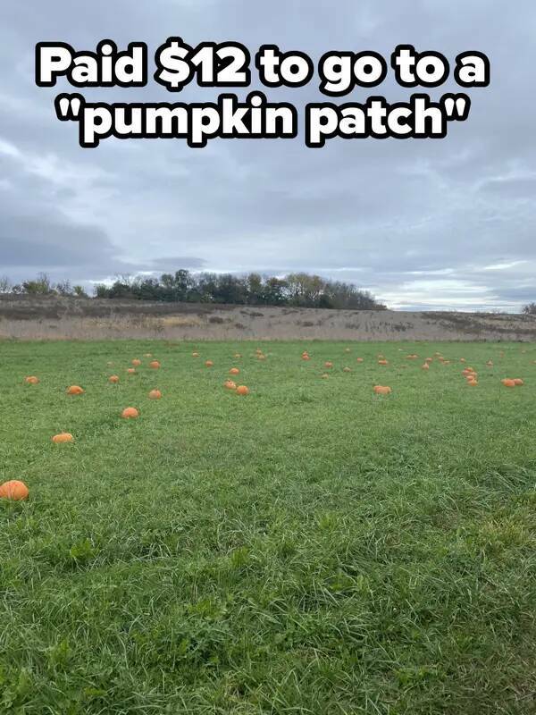 buyers remorse - grassland - Paid $12 to go to a "pumpkin patch"