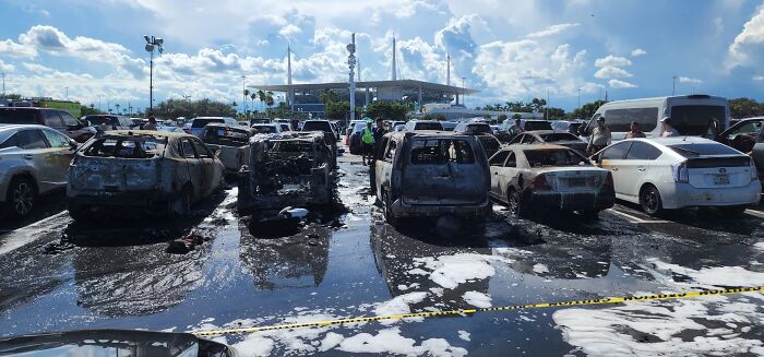 Expensive Fails - miami dolphins cars burned -