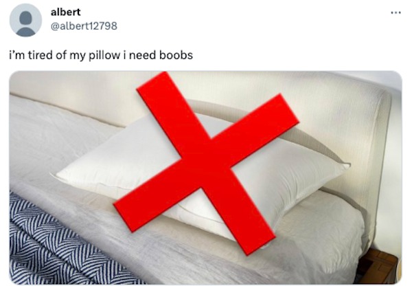 funny tweets - albert i'm tired of my pillow i need boobs www