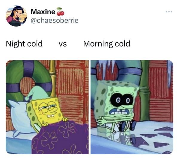 funny tweets - cartoon - Maxine Night cold Vs Morning cold ... Ka