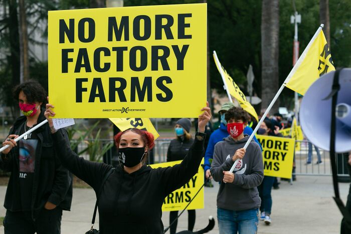 company secrets  - -  - ne No More Factory Farms Direct Action Everywhere Arms Amore Ory Ms