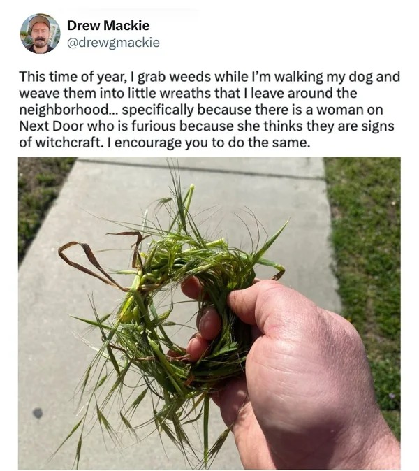 hold up a minute pics - time of year i grab weeds - Drew Mackie This time of year, I grab weeds while I'm walking my dog and weave them into little wreaths that I leave around the neighborhood... specifically because there is a woman on Next Door who is f