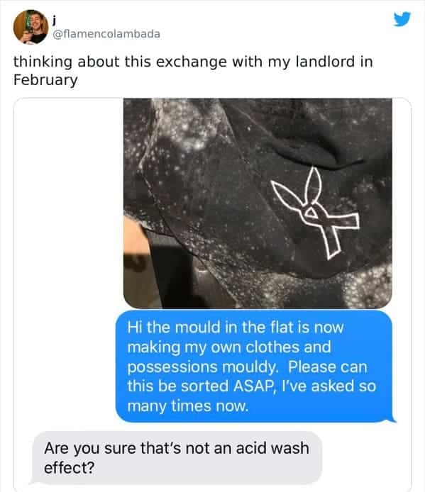 Bad landlords - acid wash landlord mold - j thinking about this exchange with my landlord in February Hi the mould in the flat is now making my own clothes and possessions mouldy. Please can this be sorted Asap, I've asked so many times now. Are you sure