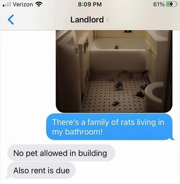 Bad landlords - no pets allowed also rent is due - ll Verizon Landlord > 61% No pet allowed in building Also rent is due C There's a family of rats living in my bathroom!