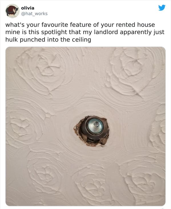 olivia what's your favourite feature of your rented house mine is this spotlight that my landlord apparently just hulk punched into the ceiling