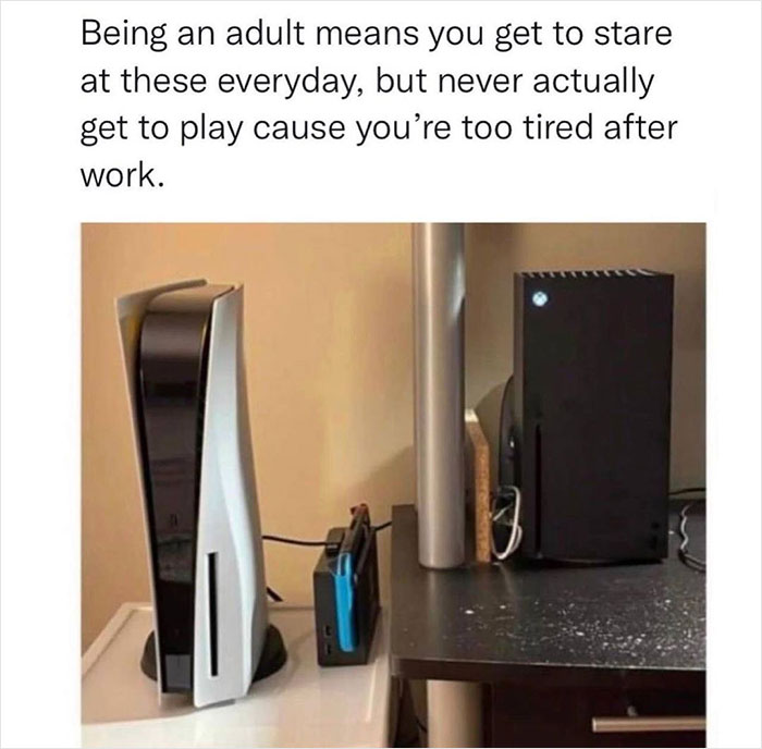 relatable memes - Being an adult means you get to stare at these everyday, but never actually get to play cause you're too tired after work.